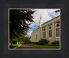 Boston Temple Trees Of Life