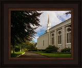 Boston Temple Trees Of Life