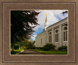 Boston Temple Trees Of Life