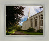 Boston Temple Trees Of Life