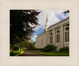 Boston Temple Trees Of Life