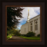 Boston Temple Trees Of Life