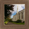 Boston Temple Trees Of Life