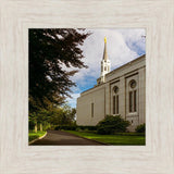 Boston Temple Trees Of Life