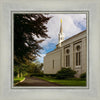 Boston Temple Trees Of Life