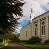 Boston Temple Trees Of Life