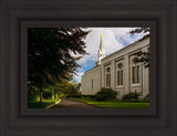 Boston Temple Trees Of Life