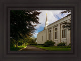 Boston Temple Trees Of Life