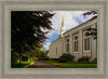 Boston Temple Trees Of Life