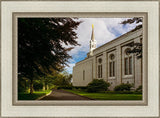 Boston Temple Trees Of Life