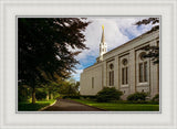 Boston Temple Trees Of Life