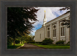 Boston Temple Trees Of Life