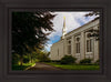 Boston Temple Trees Of Life