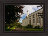 Boston Temple Trees Of Life