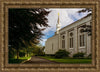 Boston Temple Trees Of Life