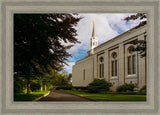 Boston Temple Trees Of Life