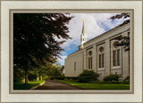 Boston Temple Trees Of Life