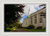 Boston Temple Trees Of Life