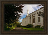 Boston Temple Trees Of Life