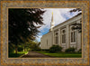 Boston Temple Trees Of Life