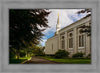 Boston Temple Trees Of Life