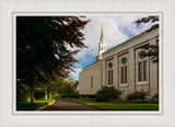 Boston Temple Trees Of Life