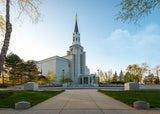 Boston Temple Spring Blossoms