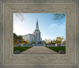 Boston Temple Spring Blossoms