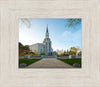 Boston Temple Spring Blossoms