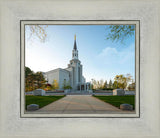 Boston Temple Spring Blossoms