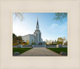 Boston Temple Spring Blossoms