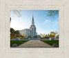 Boston Temple Spring Blossoms