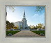 Boston Temple Spring Blossoms