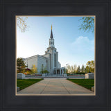 Boston Temple Spring Blossoms