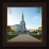 Boston Temple Spring Blossoms