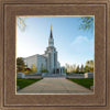 Boston Temple Spring Blossoms