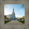 Boston Temple Spring Blossoms