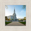 Boston Temple Spring Blossoms