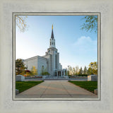 Boston Temple Spring Blossoms