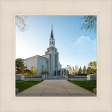 Boston Temple Spring Blossoms