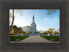 Boston Temple Spring Blossoms