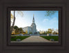 Boston Temple Spring Blossoms