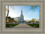 Boston Temple Spring Blossoms