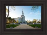 Boston Temple Spring Blossoms