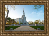 Boston Temple Spring Blossoms