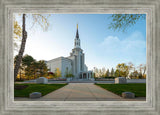 Boston Temple Spring Blossoms