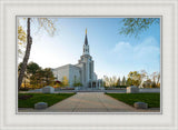 Boston Temple Spring Blossoms