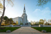 Boston Temple Spring Blossoms