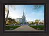 Boston Temple Spring Blossoms