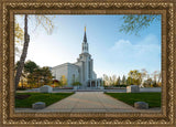 Boston Temple Spring Blossoms